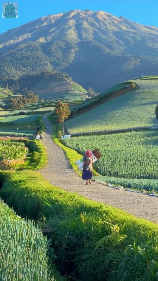 Tanyarlfes tweet media