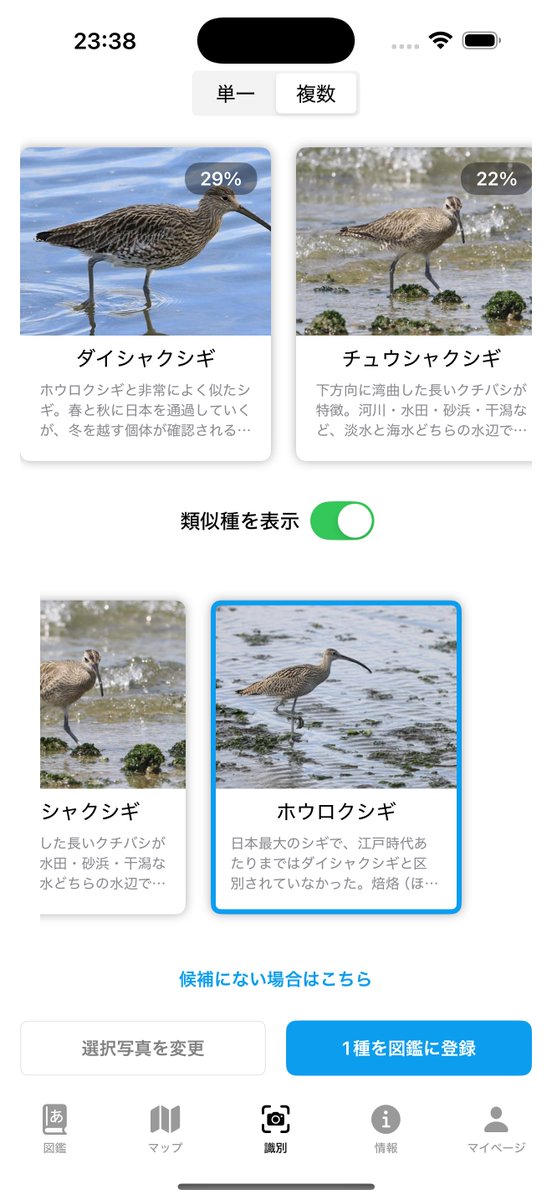 yacho_go's tweet image. 今の類似種追加による識別の問題点は、このミサゴの写真に5%でもミヤマガラスの候補が入ってると、その類似種のハシボソガラスとかが入ってしまうわけで..
下に出そうとも考えたのですが見るところや選択肢が増えると判断が大変になるのも悩ましく。
一旦戻す方向で進めさせてもらおうと思います..!
