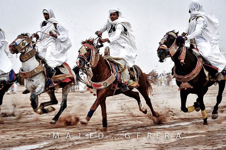 LibyaPulse02's tweet image. وإذا ذُكرت الخيل ذُكرت ليبيا خيلٌ من نسل المجد كانت تُرعب المدرعات وتُسقط جنرالات إيطاليا خيلٌ ولدت من بطون الصحراء ورضعت العز والكرامة.
