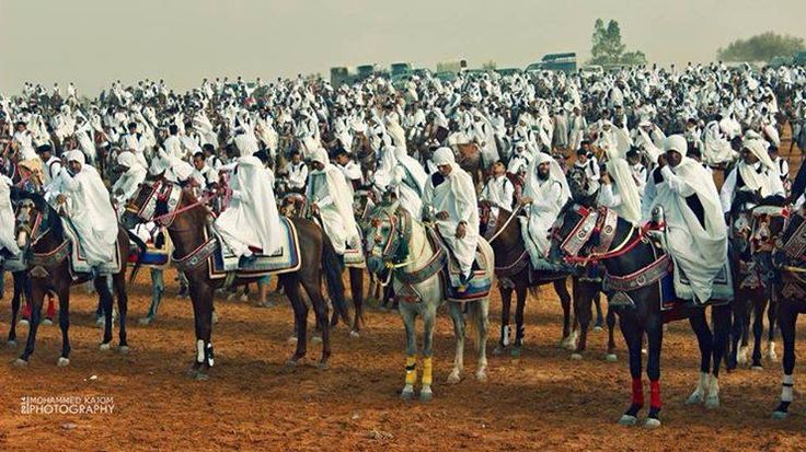 LibyaPulse02's tweet image. وإذا ذُكرت الخيل ذُكرت ليبيا خيلٌ من نسل المجد كانت تُرعب المدرعات وتُسقط جنرالات إيطاليا خيلٌ ولدت من بطون الصحراء ورضعت العز والكرامة.