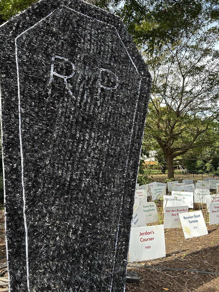 Bleakest part of the zoo’s Halloween decor