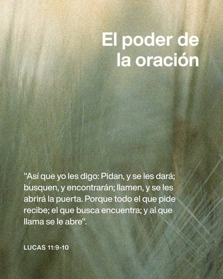 el Siervo (@elsiervo__) on Twitter photo 