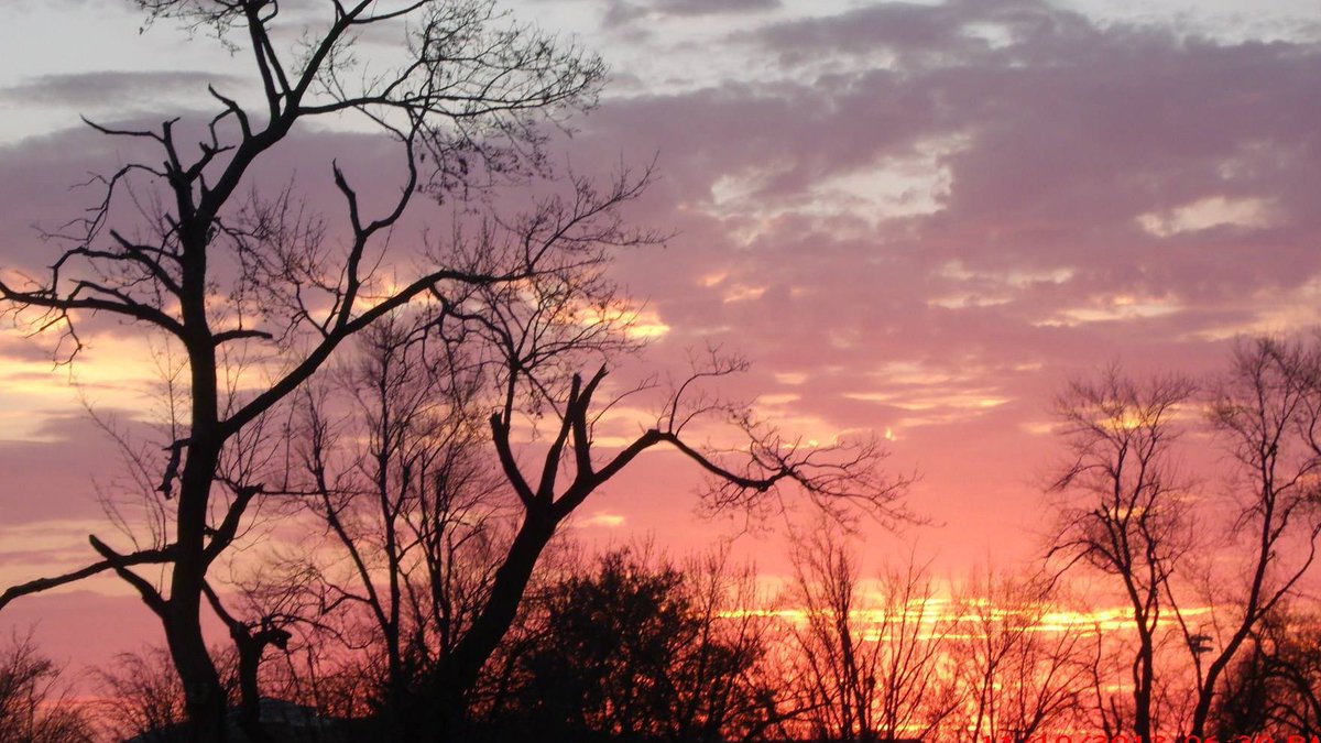 Suzanna_danna's tweet image. &quot; The sun has one kind of splendor,
     the moon another &amp;amp; the stars another; 
       and star differs from star in splendor.&quot; - 
          early morning skyline .....
          #sunrise #peaceforprosperity