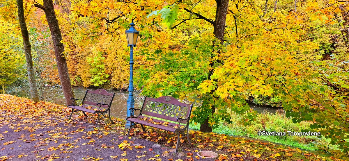 LanaToro21's tweet image. #Photobyme📷 #Todayshots  #MyThoughts #Lithuania #BelmontasRegionalPark

Love life - it&apos;s the only gift you won&apos;t get twice...❤️
