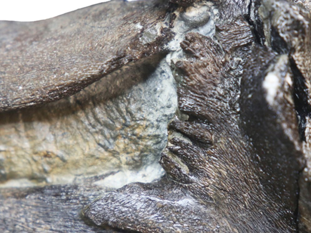 Paul de la Salle tweet media