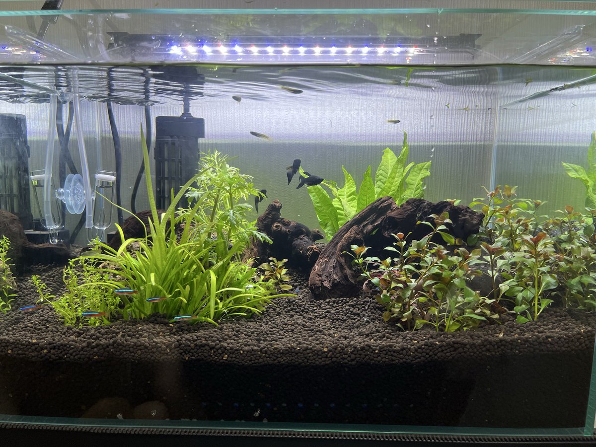 じゃすお tweet media