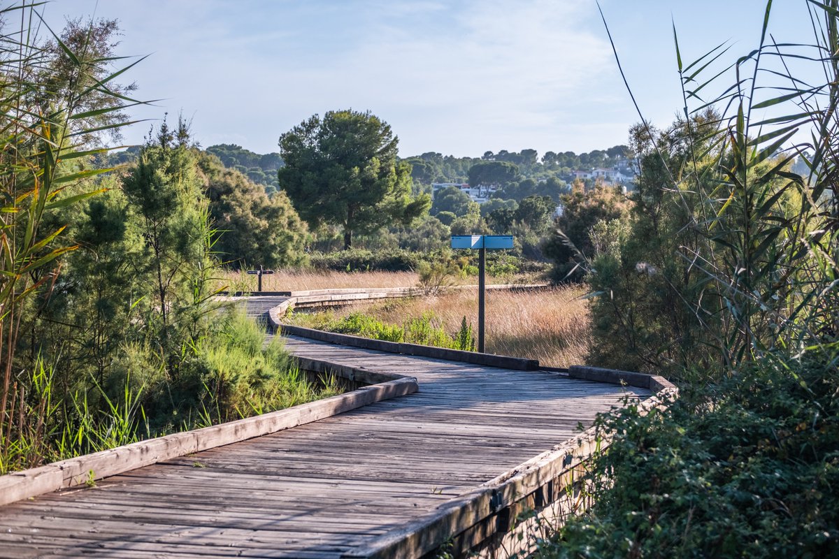 🌿 Vine a Vila-seca i endinsa't a la Séquia Major, un espai natural protegit pel Pla d'Espais d'Interès Natural de la Generalitat de Catalunya des de 1992.

📅 Quan? Diumenges a les 11h.

✅Reserva la teva plaça a través del formulari d'inscripcions a lapinedaplatja.info.
