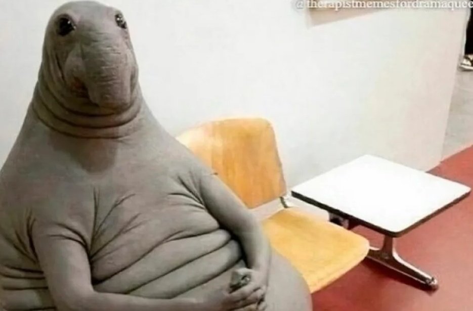 Bilyuzz 🛜♟️🧙🏼‍♂️📈 tweet media