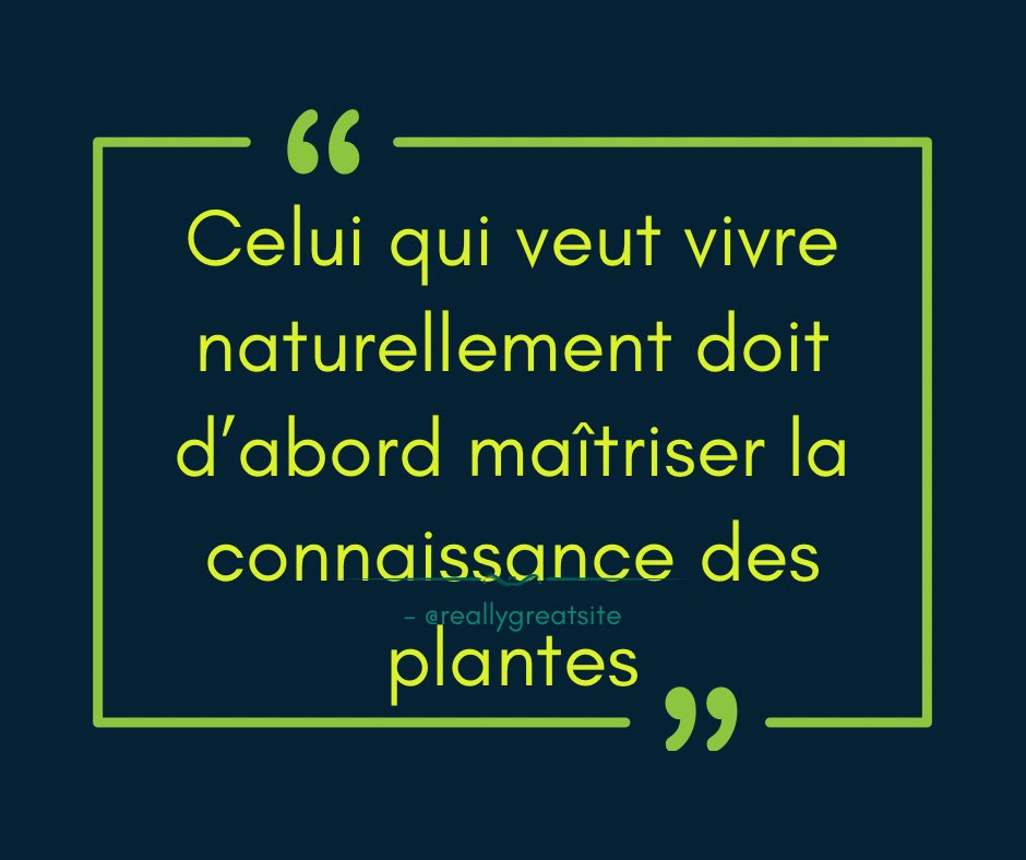 William Cinea tweet media