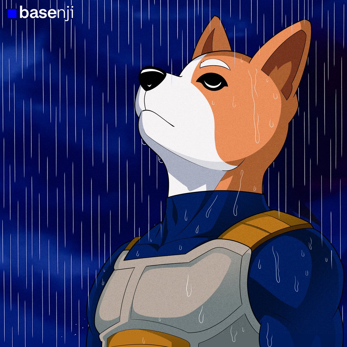 Basenji tweet media
