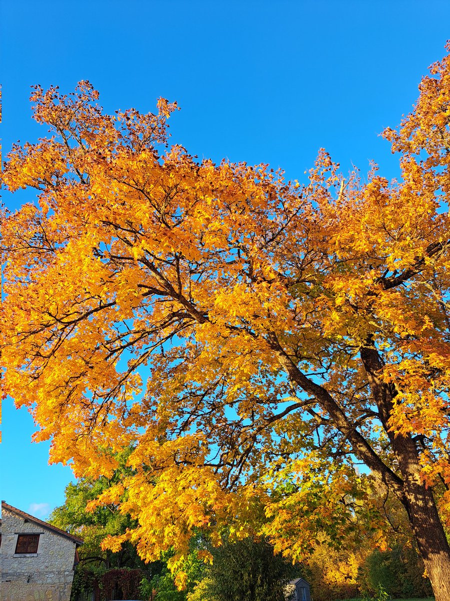 Mīļākā brīvdienu kompānija 
#stirnubuks <a href="/PalidzesimLV/">Palīdzēsim.lv</a> #rudens