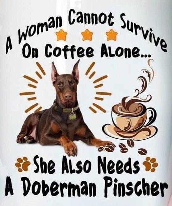 Sabrebluedobie's tweet image. Saturday coding sessions hit different ☕️ Currently working on: DobieCore Caption polish, Gazette improvements, and trying not to spill coffee on the keyboard. What are YOU building this weekend?
#SaturdayCoding #WebDevelopment #BuildInPublic
