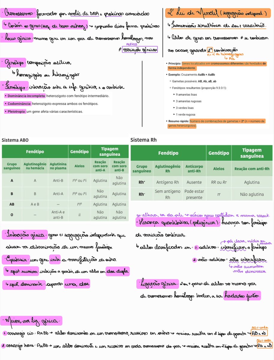 stdyjuli's tweet photo. Meu caderno de resumo de genética https://t.co/pOkAwe4hDq