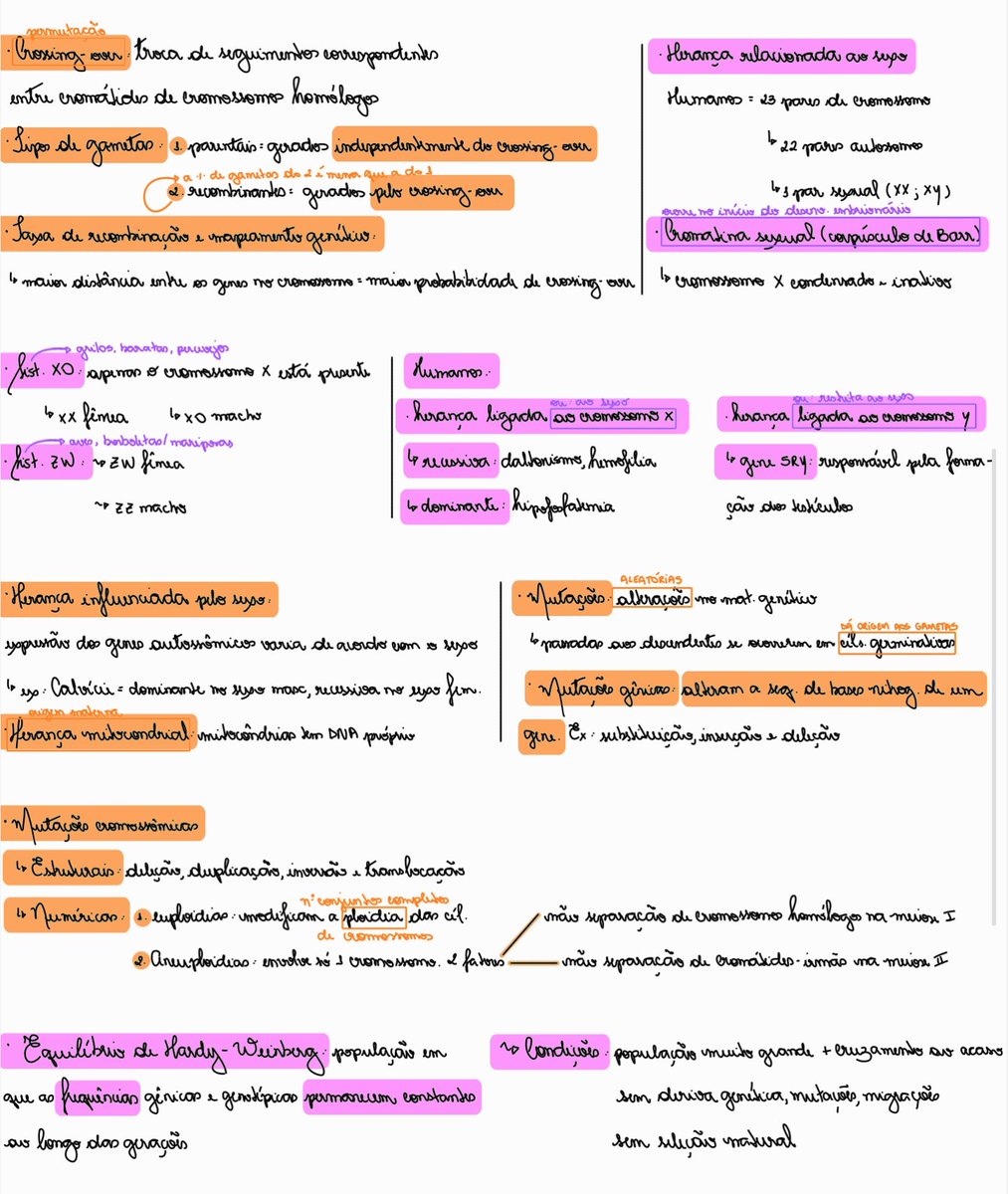 stdyjuli's tweet photo. Meu caderno de resumo de genética https://t.co/pOkAwe4hDq