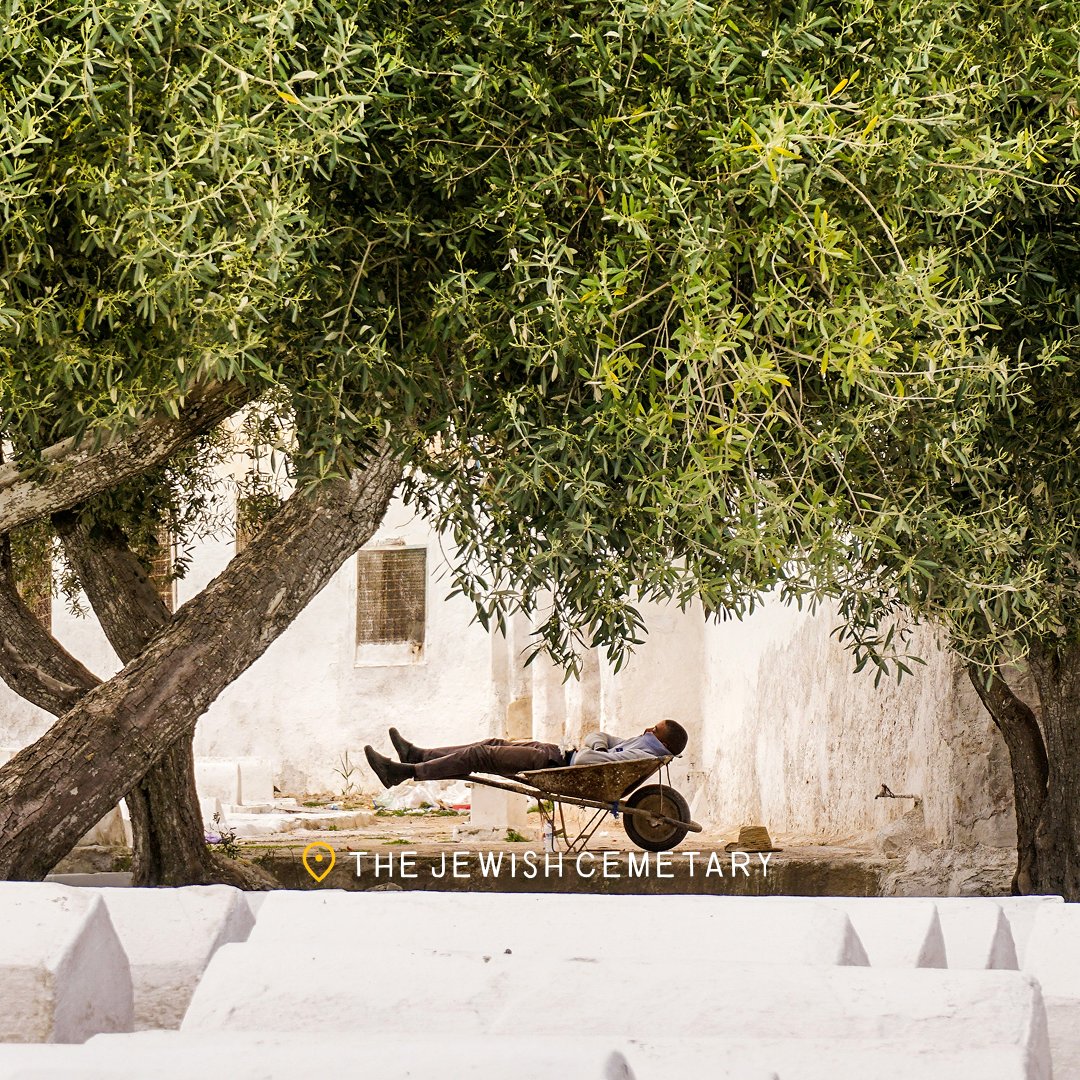 It's hard to explain what makes Fes, Morocco, so special.

Step outside your quiet riad into the heart of Fes. Tradition, craftsmanship, and stories shared over mint tea are what bring this city to life.

#morocco #kimkim #kimkimtravel #travel #travelinspiration #customtravel