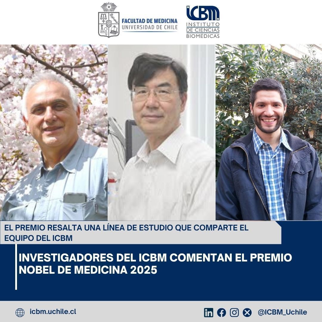 🎖️ Investigadores del ICBM reflexionan sobre el Nobel de Medicina 2025, que reconoció los descubrimientos sobre la tolerancia inmunitaria periférica, un mecanismo clave que permite al sistema inmune proteger sin dañarse a sí mismo. 🧬
#Nobel2025 #ICBM uchile.cl/bm233368