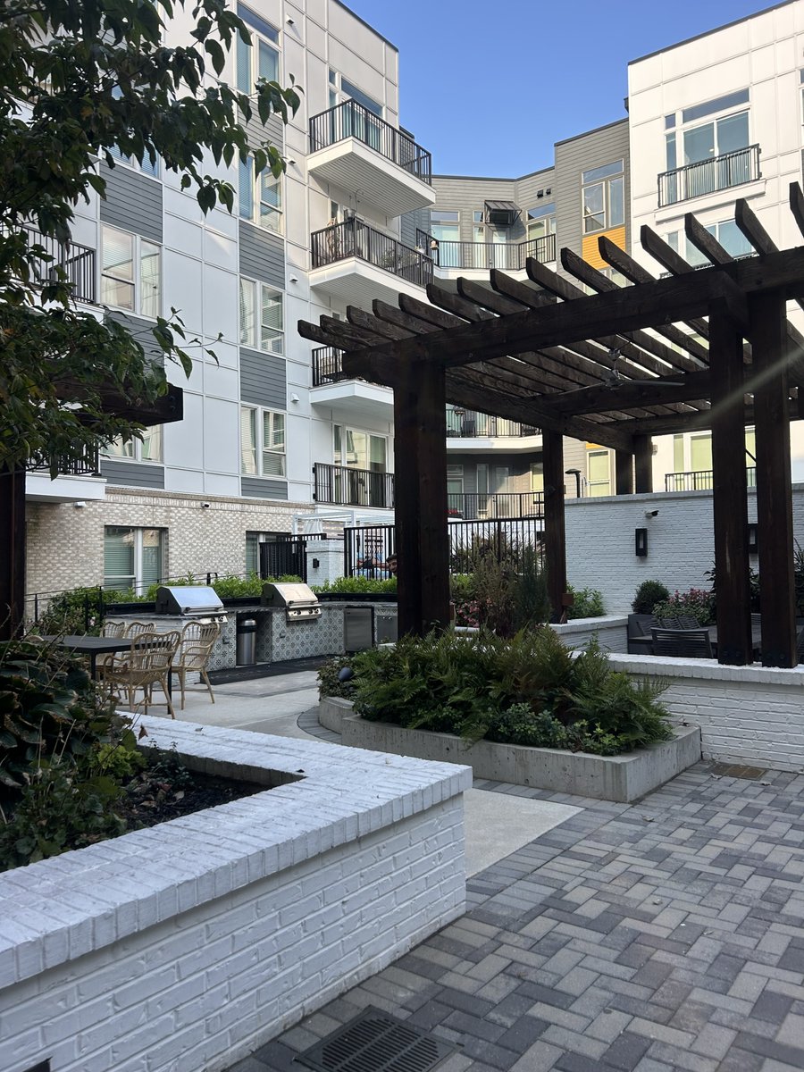 ModeraDecatur's tweet image. 🌿 Where’s Max? Day 5 (Final Round!)
Max has made his way outside to the courtyard for the final round of our game! 🌞✨ Can you spot him among the greenery? 👀

Comment “Found Max!” once you’ve located him and DM us where you&apos;ve spotted him at! The FIRST to find him in all 5...