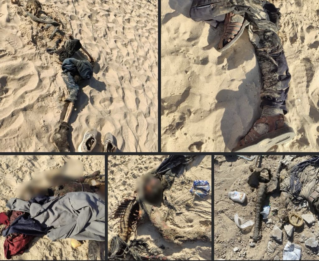 blondfighter20's tweet image. The recovery of the remains of martyrs from the streets of Gaza has continued since the end of World War II. To date, more than 150 young men have been recovered, and the search for our missing contributors is ongoing.