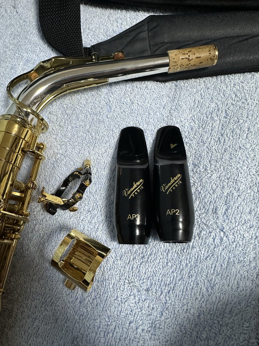 パッチのお話。

マニアックな話ではあるが、使うマウスピースやリードによってパッチを変えている。マッピの種類やリードの番手により相性が発生する模様。

主に使っているのは、

バンドレン0.35
セルマー0.35
ノナカ0.36

の3種類。

それぞれ役割が違うので、使うマッピにより全部違ったりする。