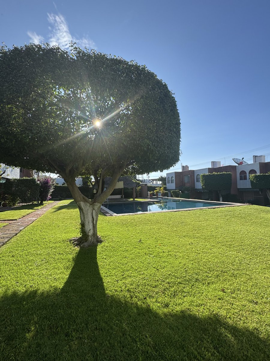 Words are very unnecessary…