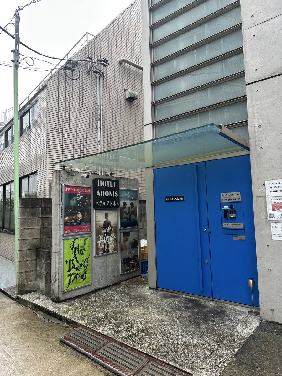 Tongtong tweet media