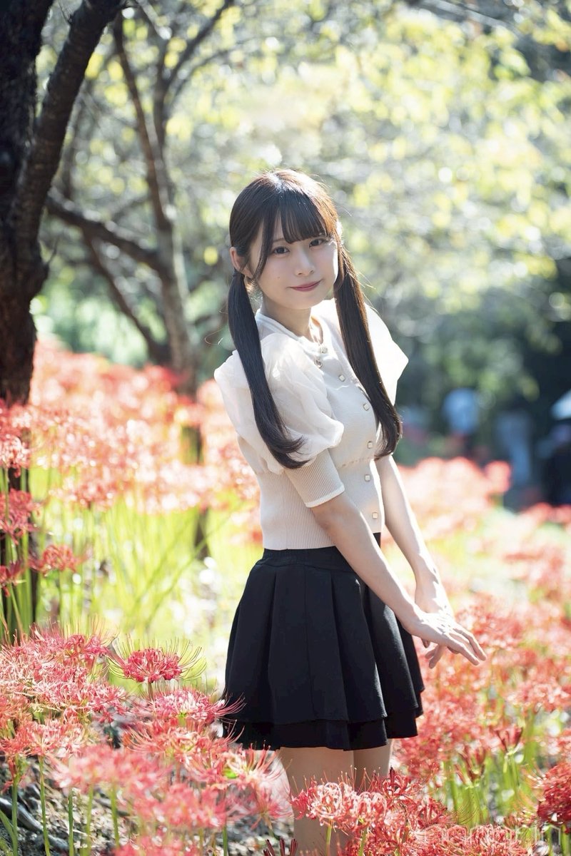 にゃわん (@falcon31612) / Posts / X