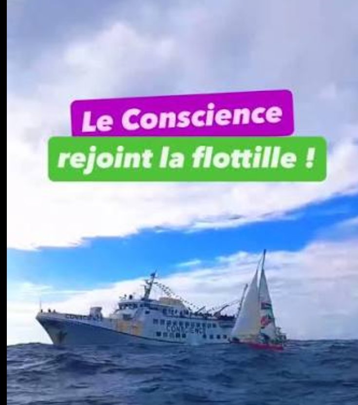 🚨 Vous voulez connaître la vérité crue sur le bateau Conscience de la flottille, où la membre <a href="/ptbbelgique/">PTB Belgique</a>, médecin dans une maison médicale de Molenbeek,  était embarquée ? Restez connectés mais attention, risque de tangage politique.
