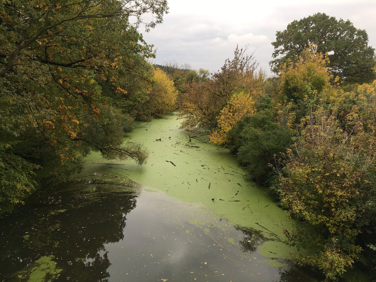 Nie samym Chopinem żyje człowiek: trzeba czasem rozruszać rower w jesiennych okolicznościach przyrody.
#jesieni_dzień 19.