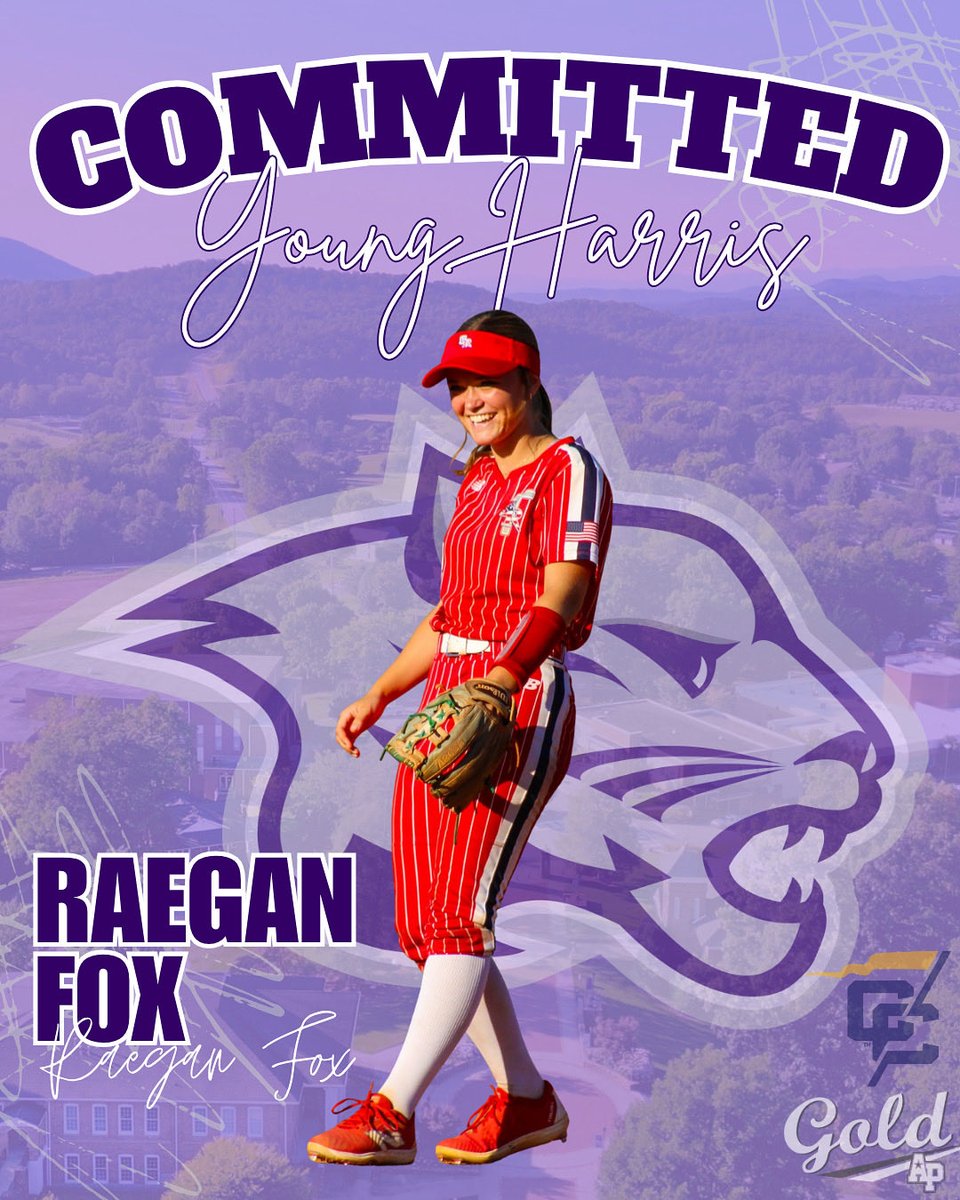 AP Fastpitch Softball tweet media