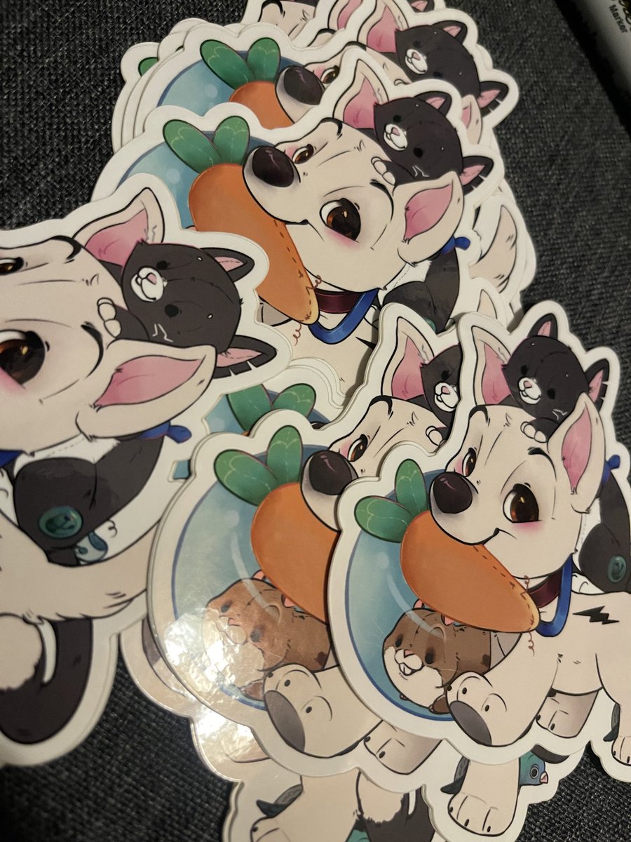 Packing up the good boi for send off!