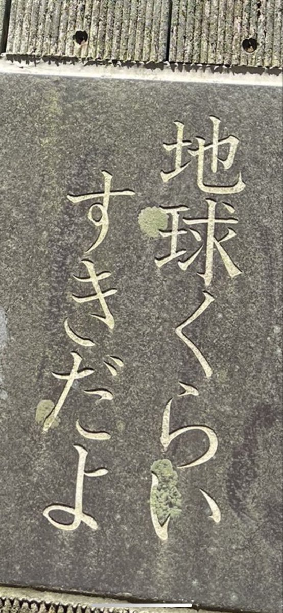 #東海オンエア12周年
