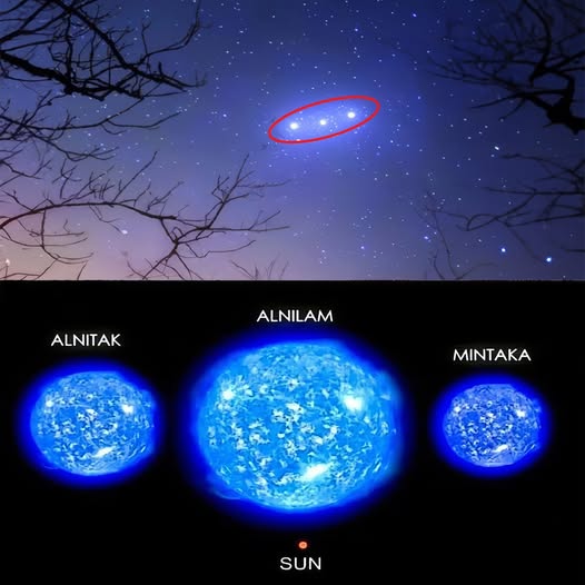 Bram 🔭🔭 (@astrophysicslad) on Twitter photo 