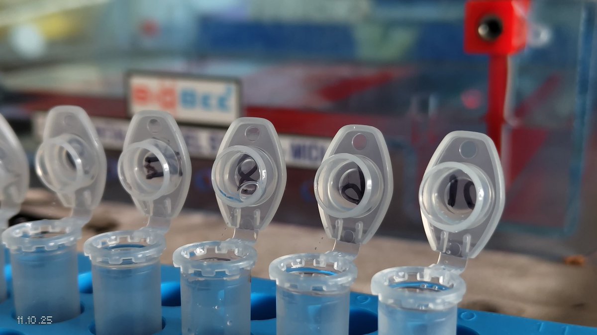 Hemanth Govinde tweet media