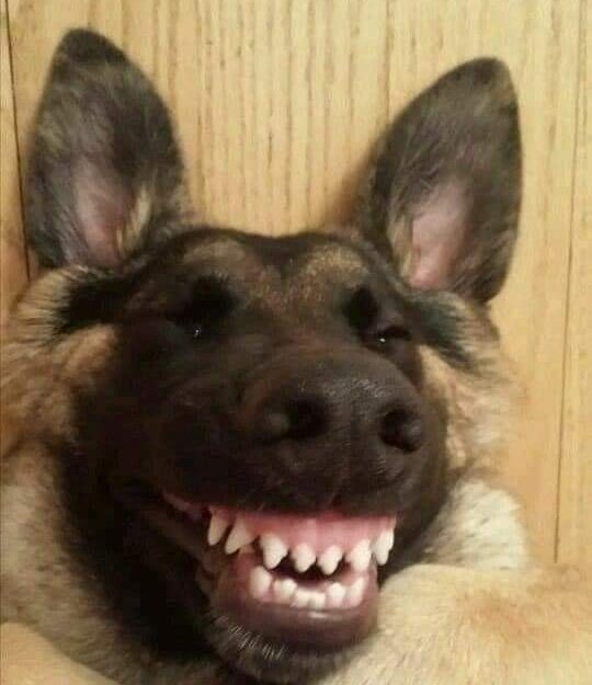 Chuckle_Some's tweet photo. @75PercentCoco https://t.co/wSTFhtocWN