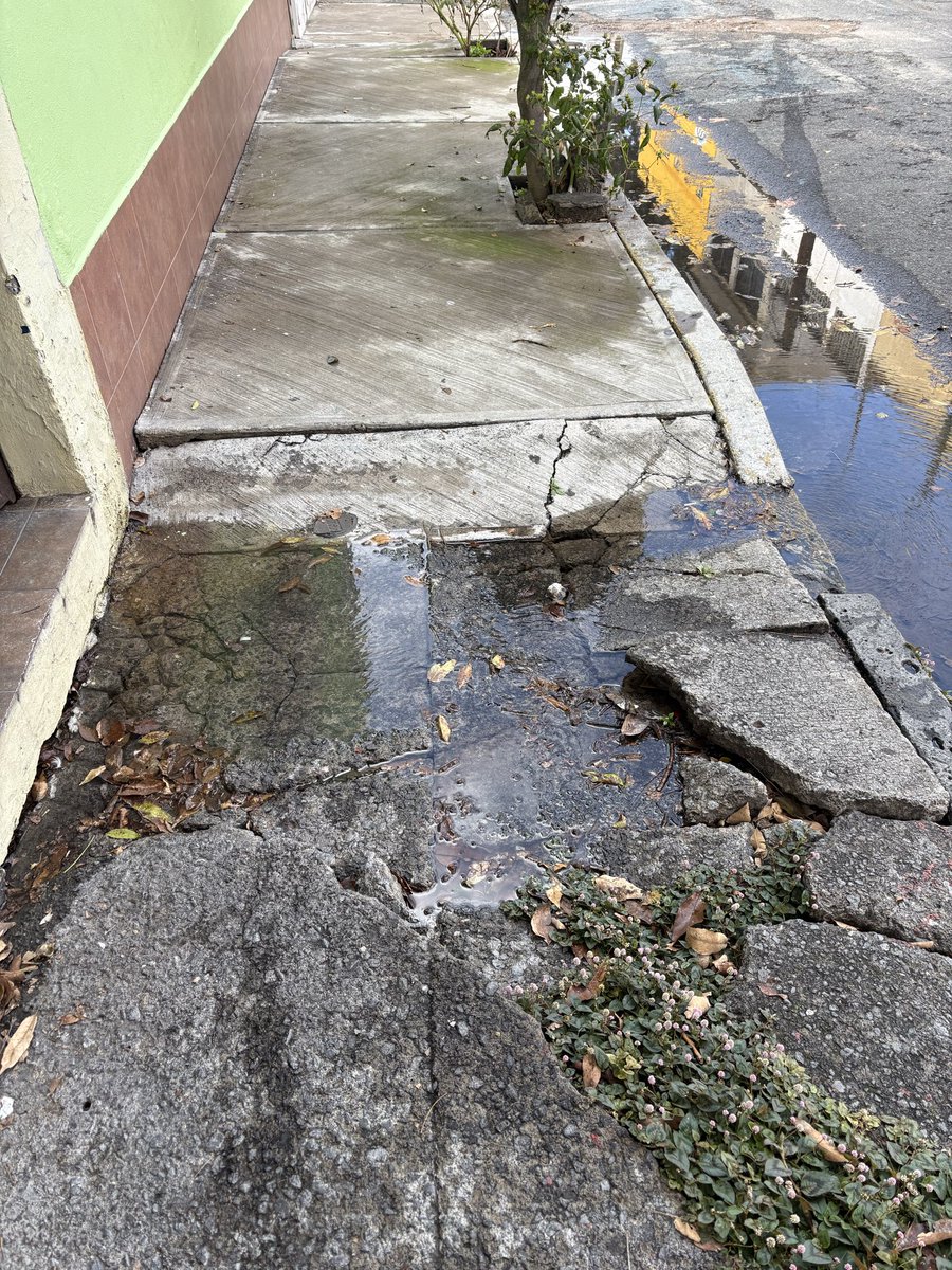 evalle6's tweet photo. @SEGIAGUA @SACMEX_DENUNCIA Buen día, tengo una fuga afuera de mi domicilio delegación GAM, la cuál he reportado muchas veces y nadie viene a atender. Vienen a arreglar fugas, se les comenta y me dicen que tengo q hacer el reporte, lo hago y nadie viene, un desperdicio horrible. https://t.co/2NhStSVm0y