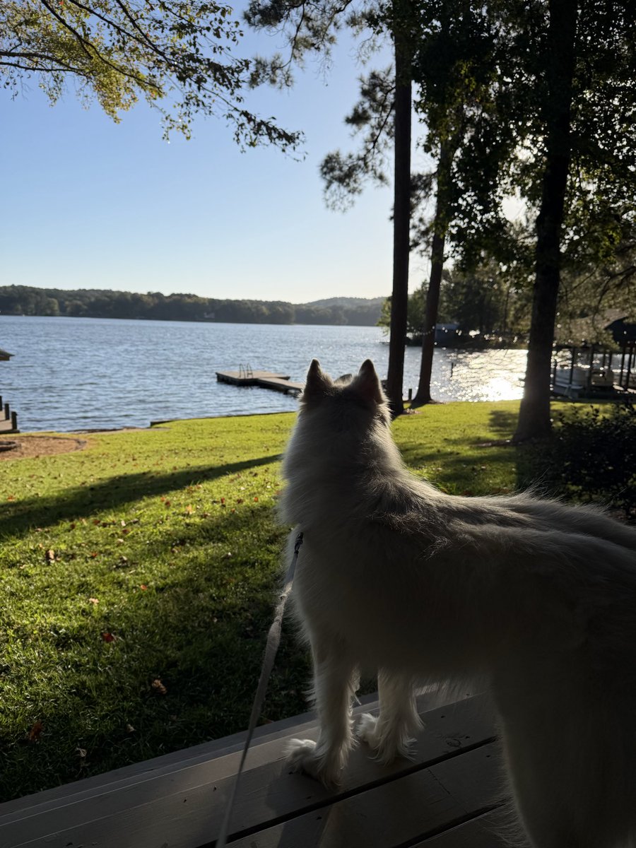 Barbara Corey tweet media