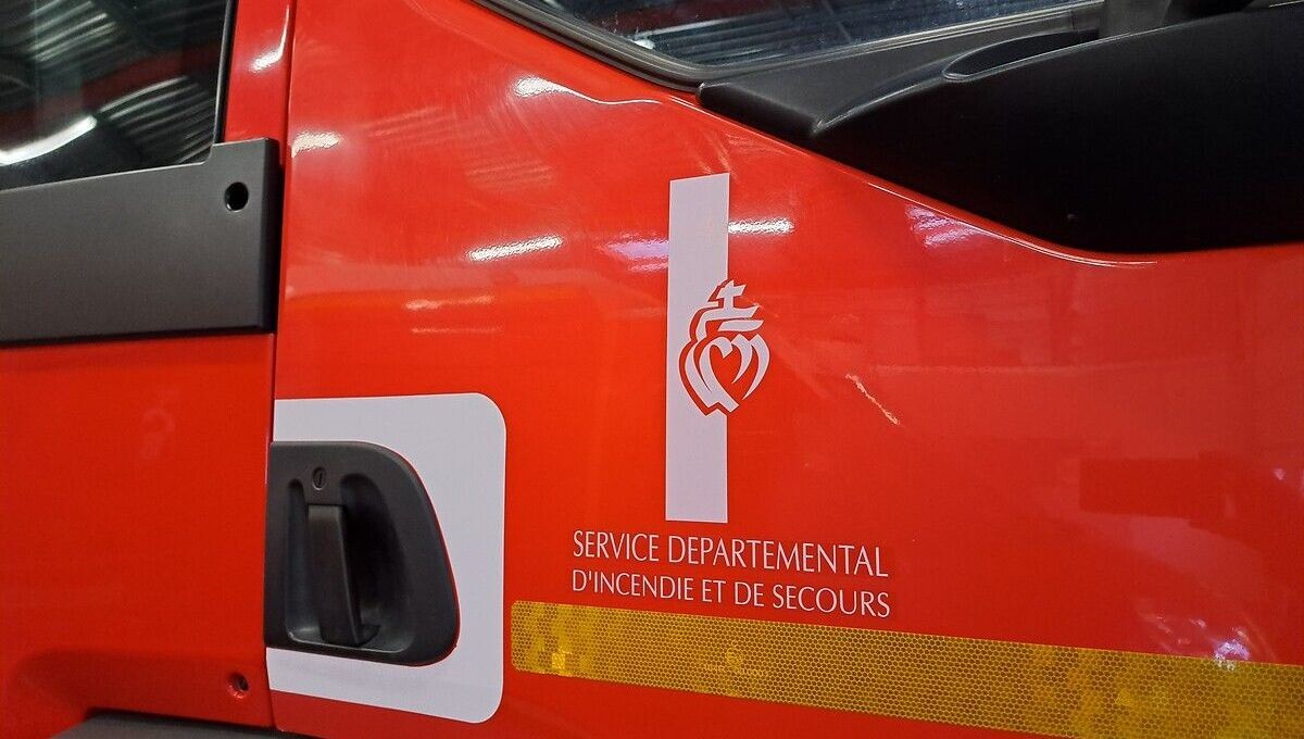 Vendée : 71.000 volailles périssent dans l'incendie d'un poulailler
➡️ l.ici.fr/3EH