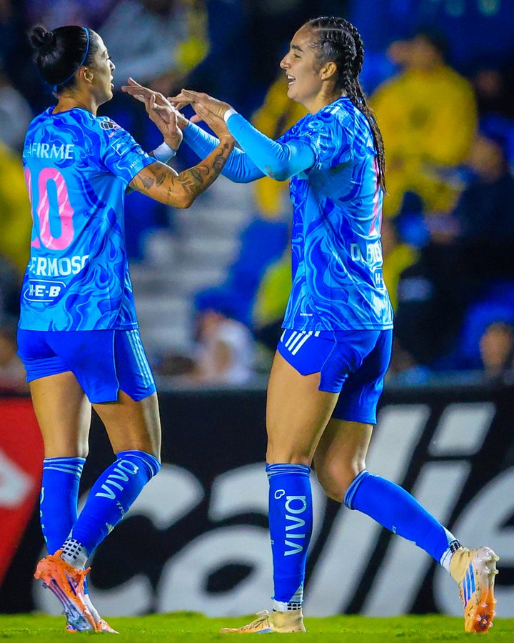 Two female soccer players stand side by side on a green field in a stadium, both smiling and clapping hands in celebration. The player on the left has her hair in a ponytail, wears a blue Tigres Femenil jersey with number 10 and the name FERNANDEZ on the back, blue shorts, and orange cleats. The player on the right has braided hair, wears a similar blue Tigres Femenil jersey with long sleeves, blue shorts, and blue socks with VIM brand. Stadium seating and yellow elements are visible in the background.