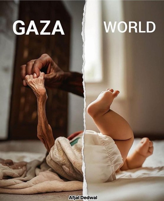 zainabReza_13's tweet image. The eyes of the world have become blind.
Gaza💔