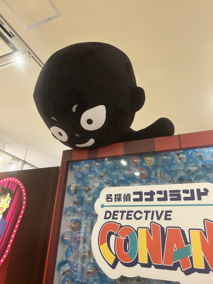 コナラン一番の見どころ