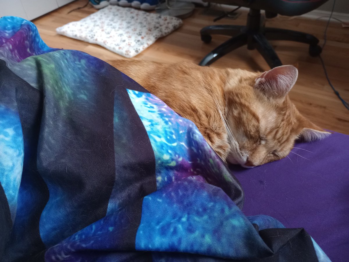 Welp. Not getting out of bed anytime soon. ^^;