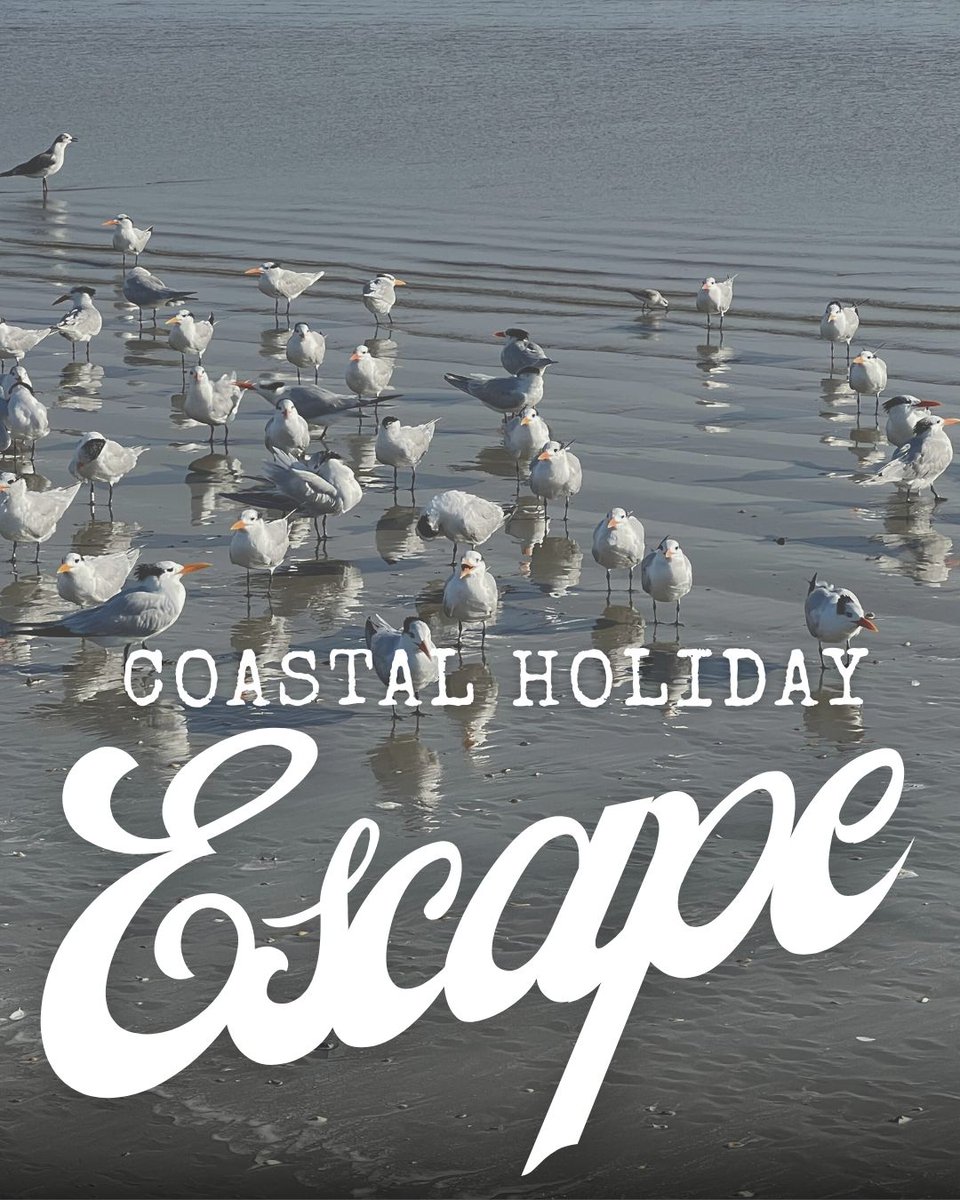 karenconradhome's tweet image. This month we are putting woodland trees with white twinkle lights into each of our properties. We chose decor to create a cozy winter experience with no particular holiday theme. 🌲✨

Take a look karenconrad.net/is-october-too…

#VacationRentalDecor #vrbo #airbnb