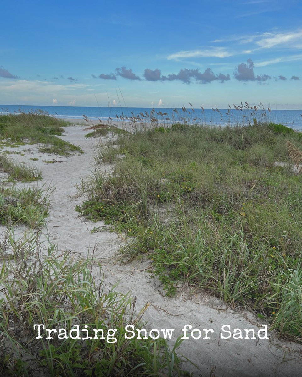 karenconradhome's tweet image. This month we are putting woodland trees with white twinkle lights into each of our properties. We chose decor to create a cozy winter experience with no particular holiday theme. 🌲✨

Take a look karenconrad.net/is-october-too…

#VacationRentalDecor #vrbo #airbnb