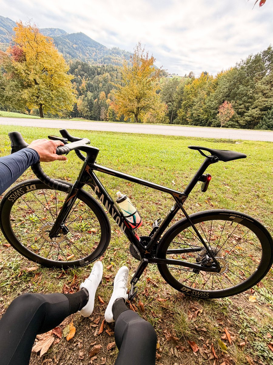 Fabian Pimminger tweet media