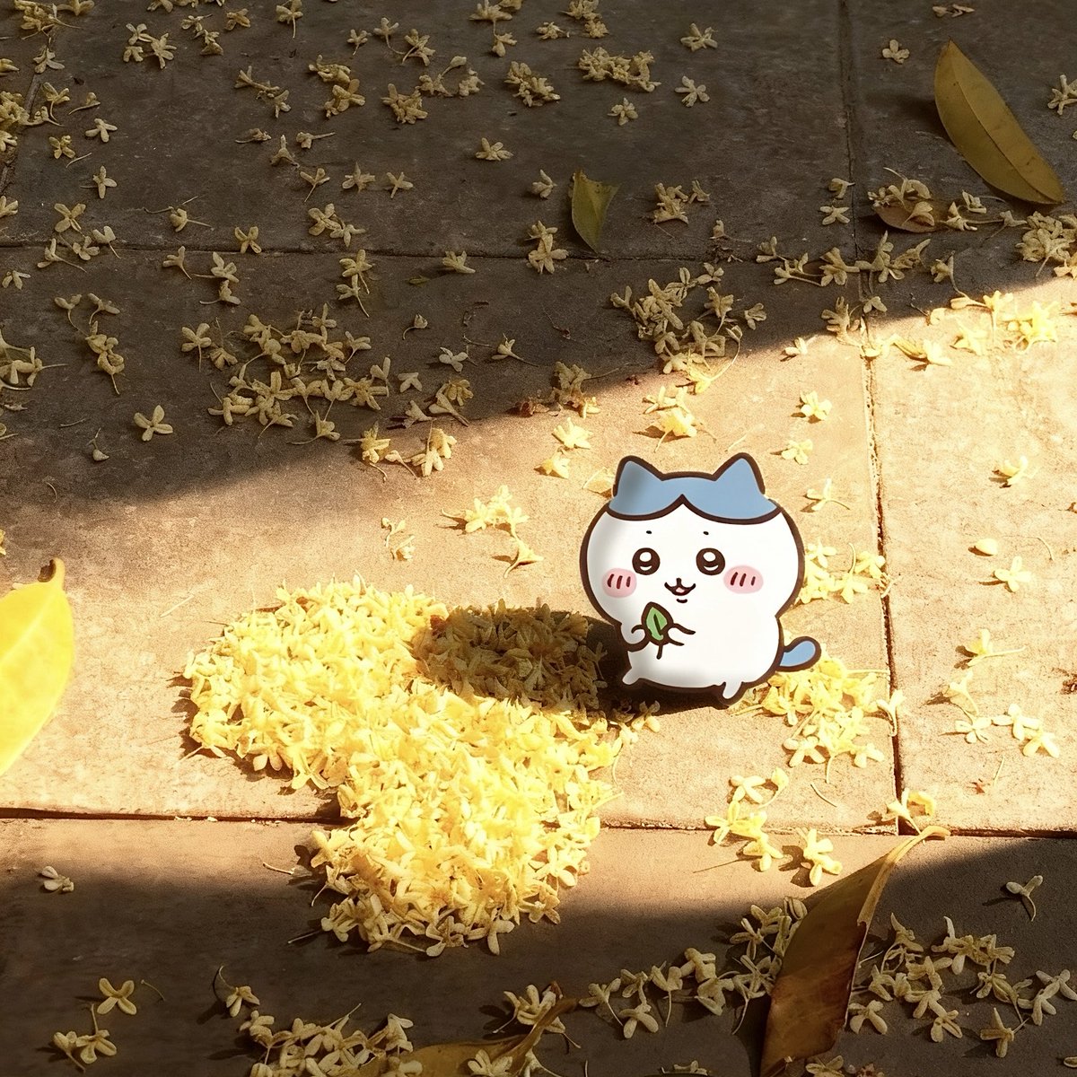 想吃饭了bb (@ziitaa314) on Twitter photo 