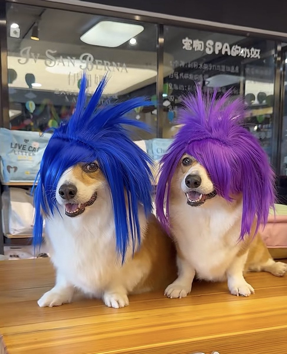 杀马特大军集合