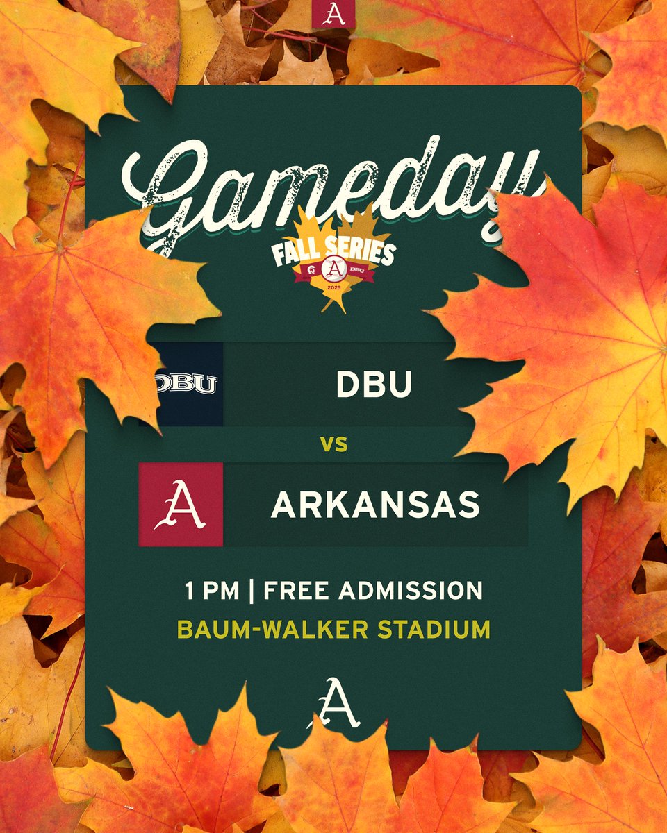 RazorbackBSB's tweet image. Fall BALLIN&apos; again at our place!