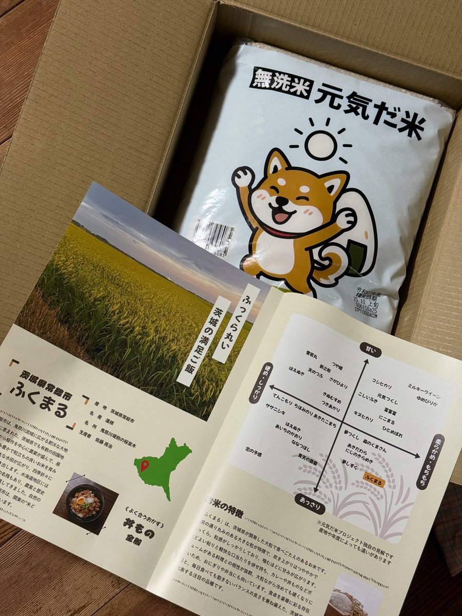 genkida_mai - Search / X