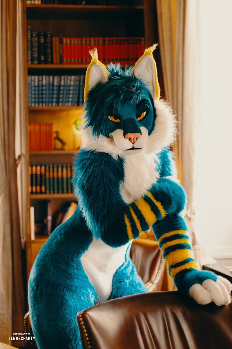 MYLO 🦊📸 tweet media