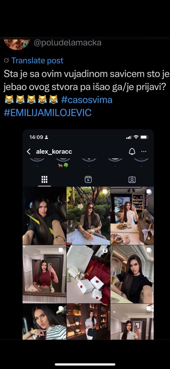 Monika Reljic tweet media